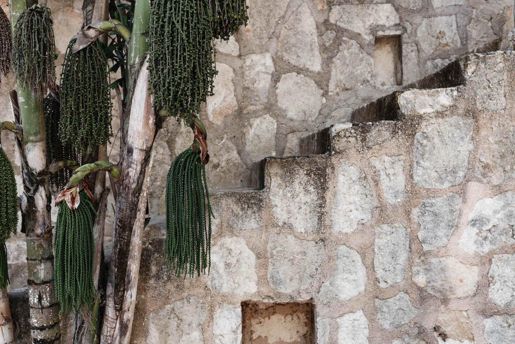 Coqui Coqui Papholchac Coba Residence & Spa ภายนอก รูปภาพ