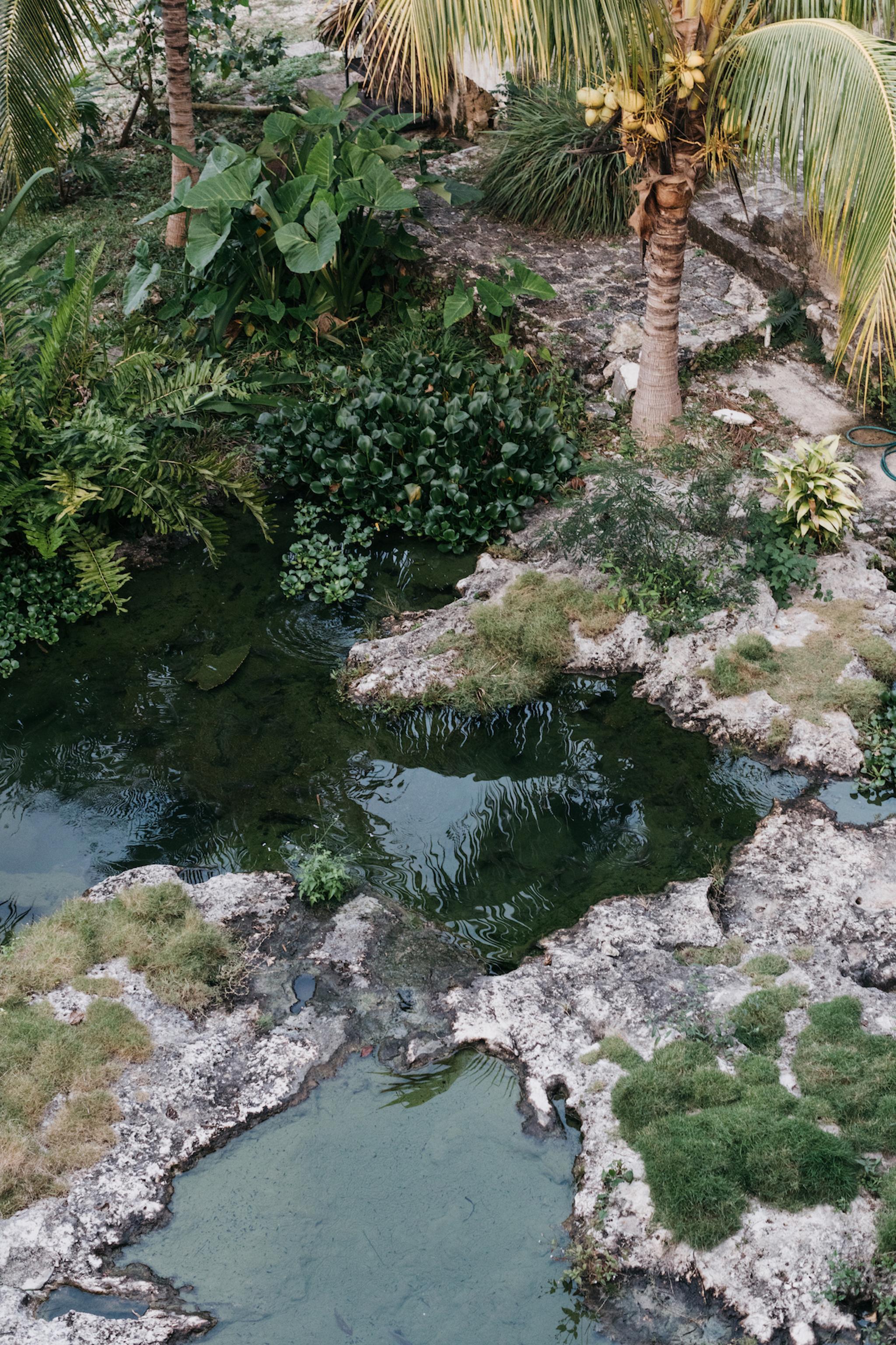 Coqui Coqui Papholchac Coba Residence & Spa ภายนอก รูปภาพ